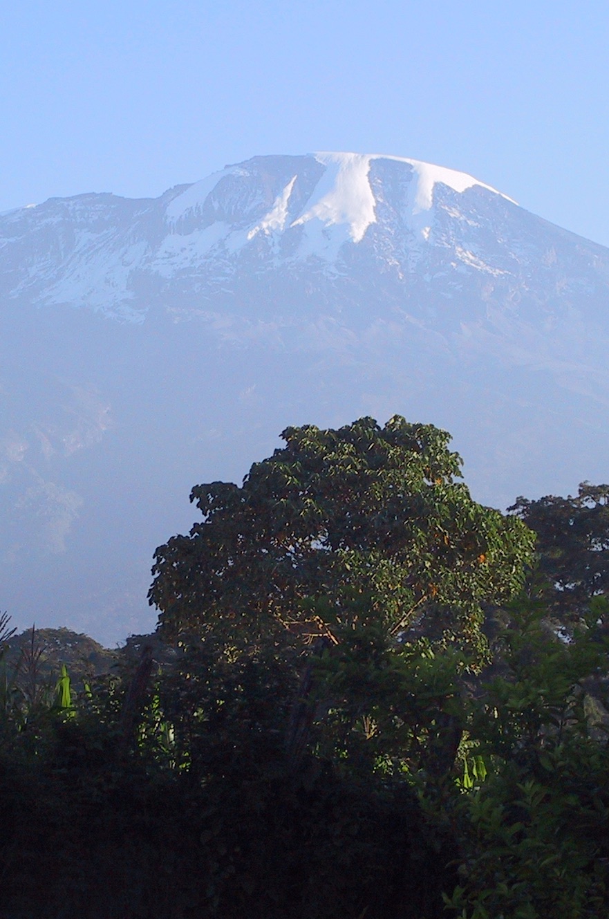Mount Kilamanjaro. Image credit W.Stephenson