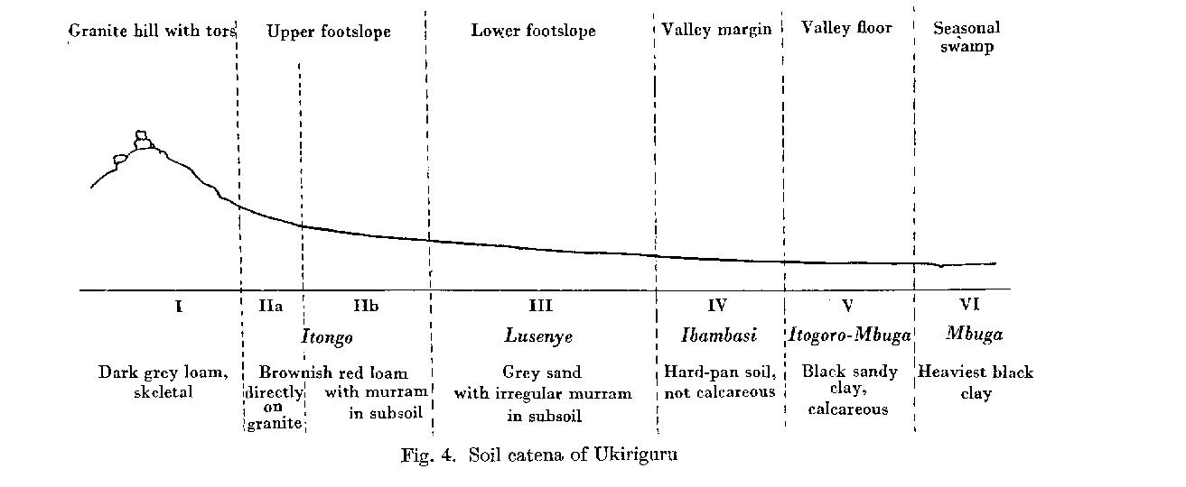 Milnes Ukiriguru Catena