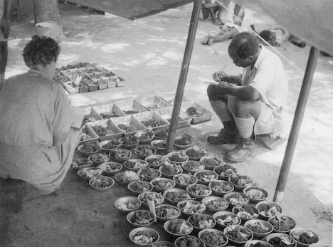 Soil technician and surveyor processing soil samples at base camp. (Photograph by H Brammer)