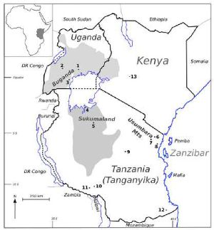East African origins of the catena concept