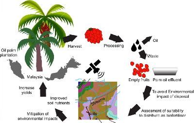 WOSSAC research on the use of Malaysian oil palm bio-waste as fertiliser