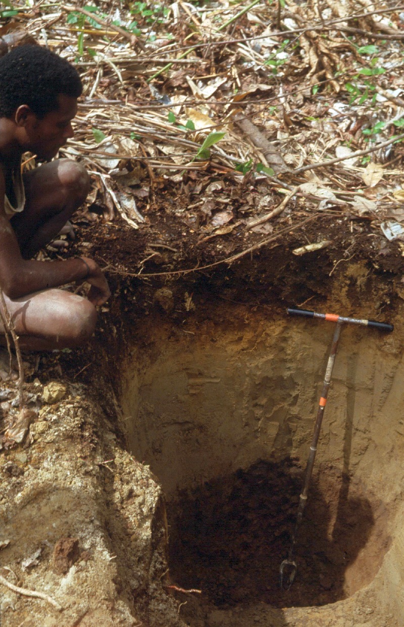 Inspecting an Andosol, Rabaul, PNG. Image credit I.Baillie